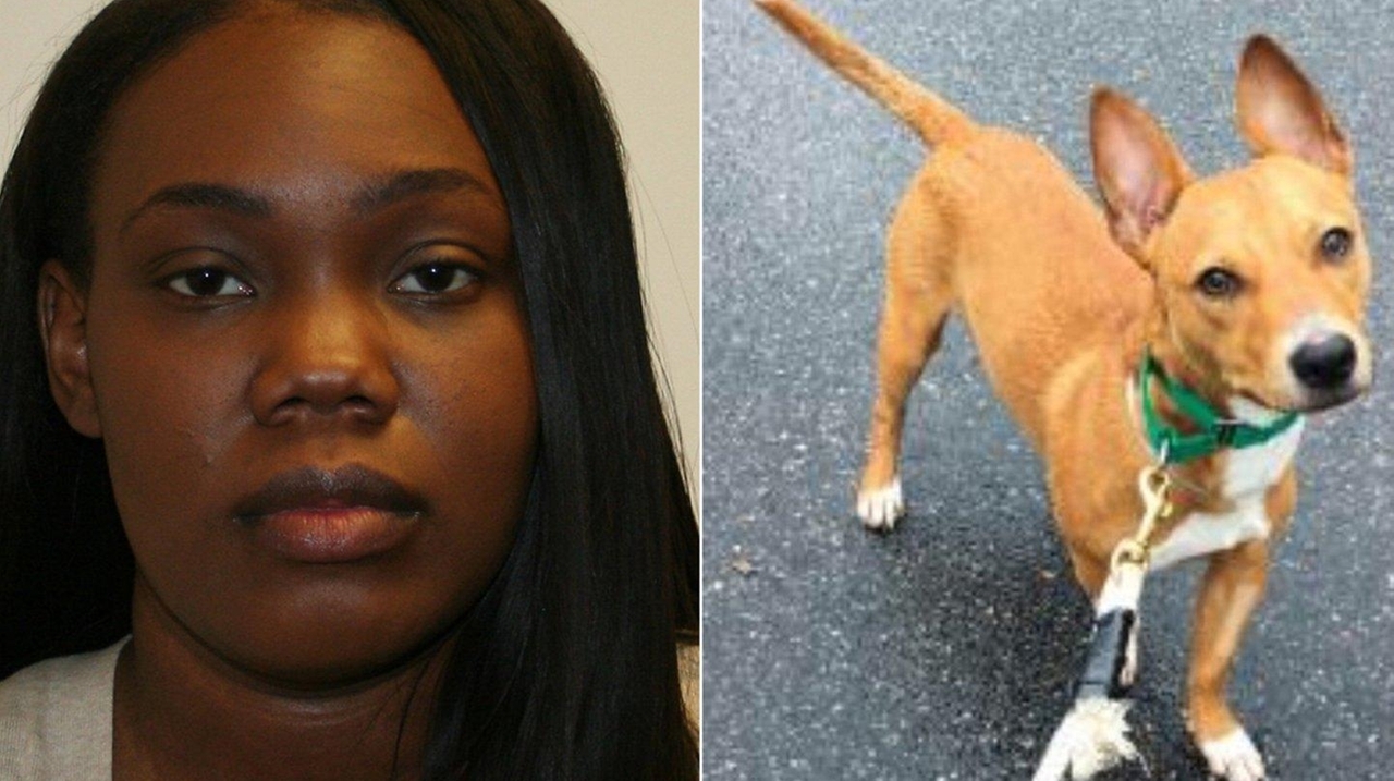 Uniondale woman mistreated dog, gave it to shelter, DA says - Newsday