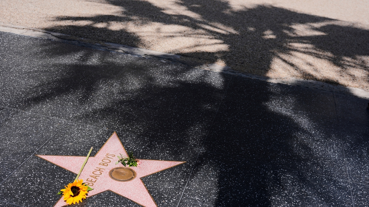 Bruce Springsteen, Paul McCartney, Mike Love and Elton John react to ...