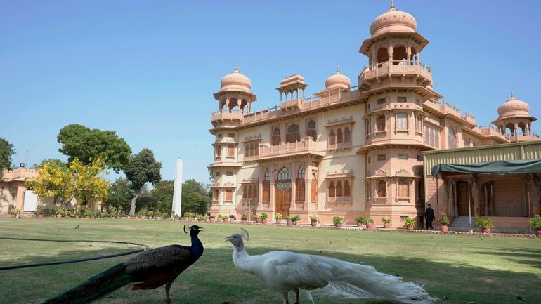 Peacocks roam on the lawn of historical building "Mohatta Palace,"...