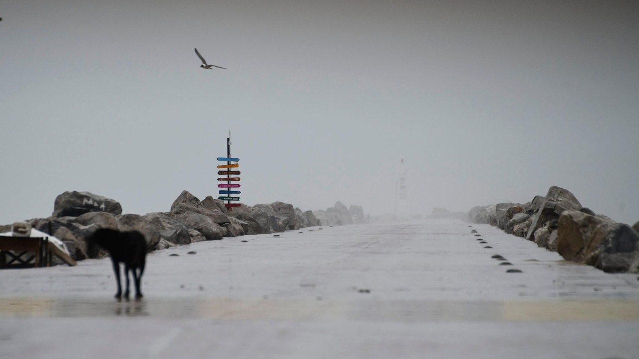 Tropical Storm Alberto dissipates over central Mexico after heavy rains ...