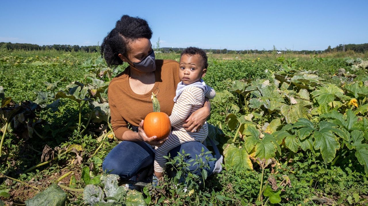 Long Island pumpkin farms and upick patches Newsday