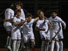 Saif Khan helps Herricks stun Farmingdale