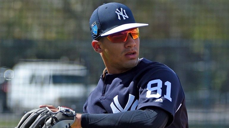 Gleyber Torres continues to rake at Triple A, but Yankees may want to give  prospect more time in minors – New York Daily News