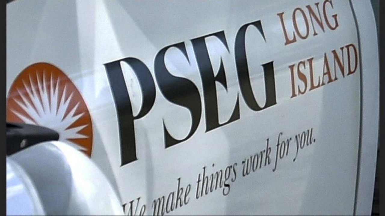 PSEG LI meeting 67% of reduced performance metrics - Newsday