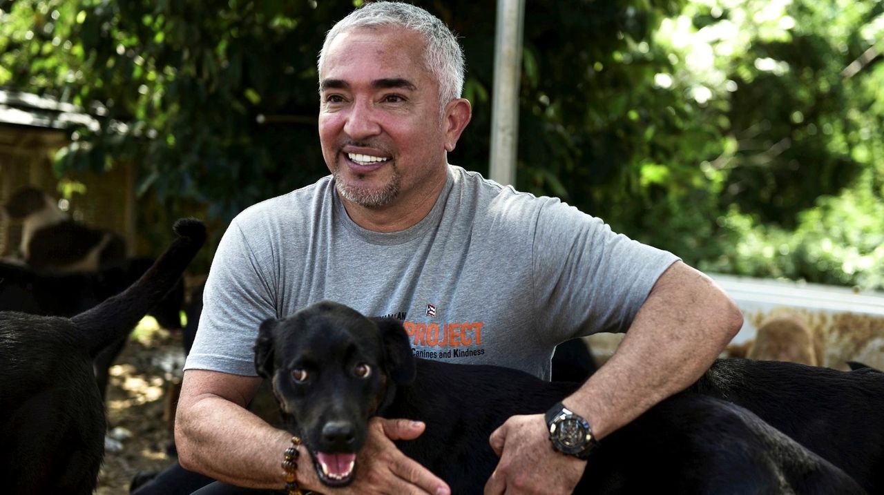 SCNG PREMIUM MAGAZINE July 2022 ANIMAL TALES Cesar Millan YOUR GUIDE TO PETS  Dog