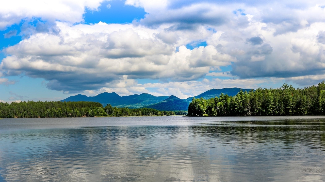 https://cdn.newsday.com/ace/c:ZGRkM2UxYzAtNWE5Mi00:ZTVkYjU3MGYtNTliNC00/landscape/1280
