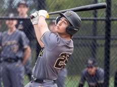 Diamond Stars: Top performances this week in LI baseball and softball