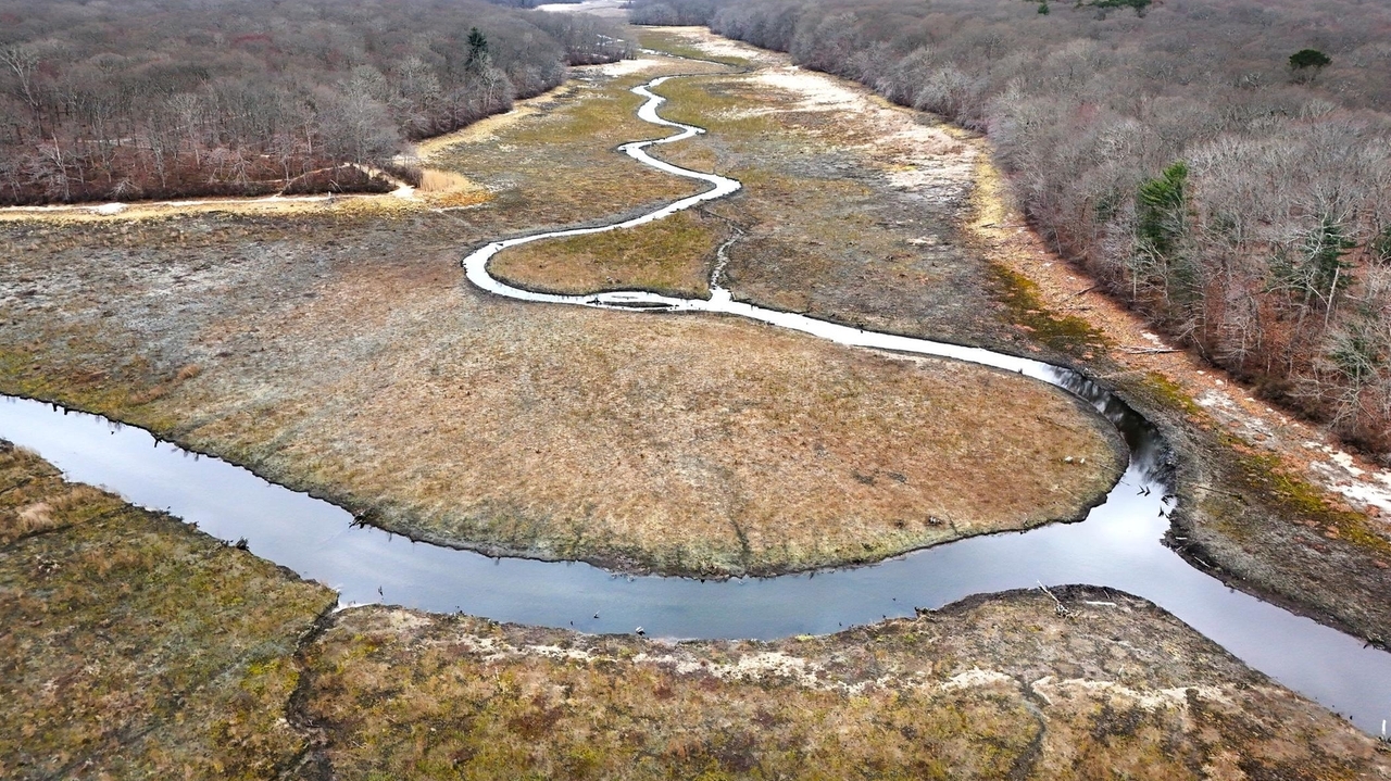 Nissequogue River listed among nation's most endangered - Newsday