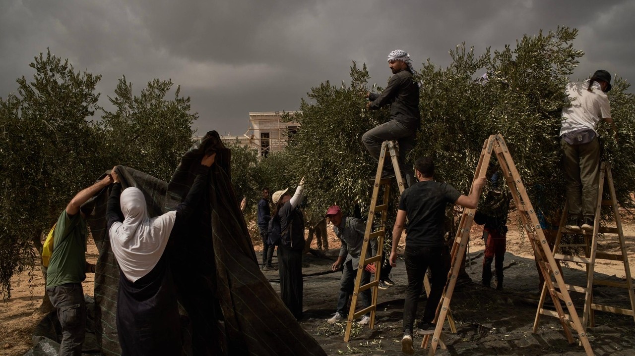 Israeli settlers torch cars and trees in West Bank villages, disrupting ...
