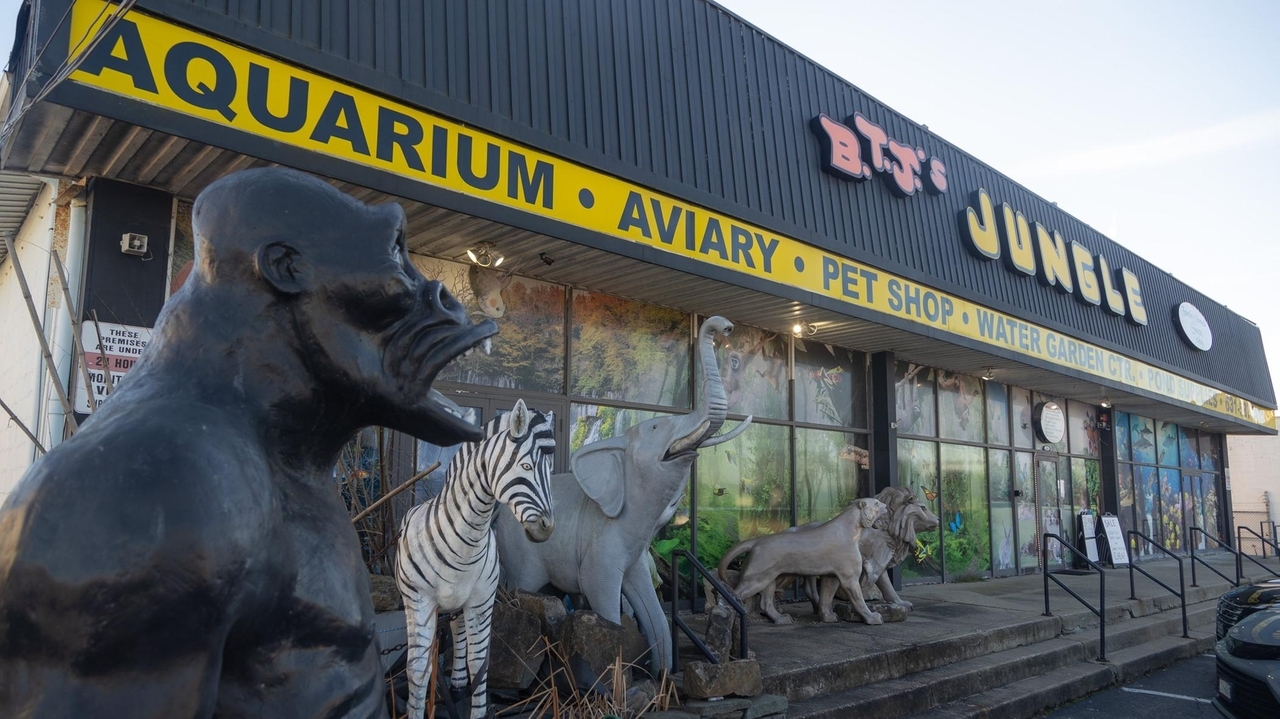 West Islip pet shop BTJ’s Jungle to close its doors early next year after nearly 60 years