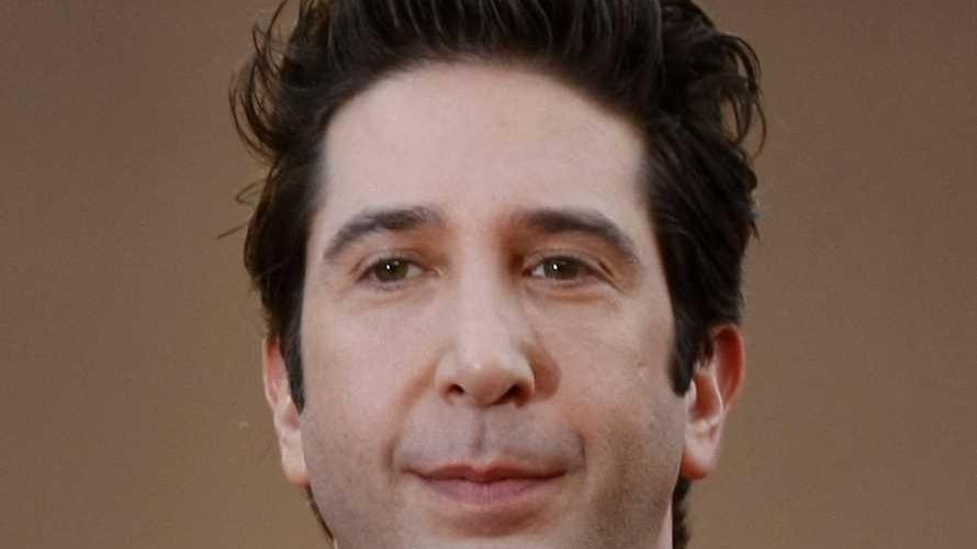 David Schwimmer - Wikipedia