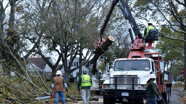 A LIPA Tree Clearance Crew removes downed trees from Sandy...