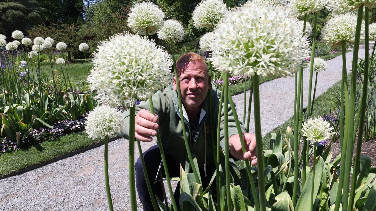 Meet the Planting Fields, Old Westbury Gardens, Bailey Arboretum