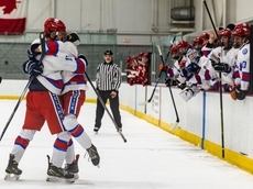 Long Island skates off with three of four state boys ice hockey semifinal spots