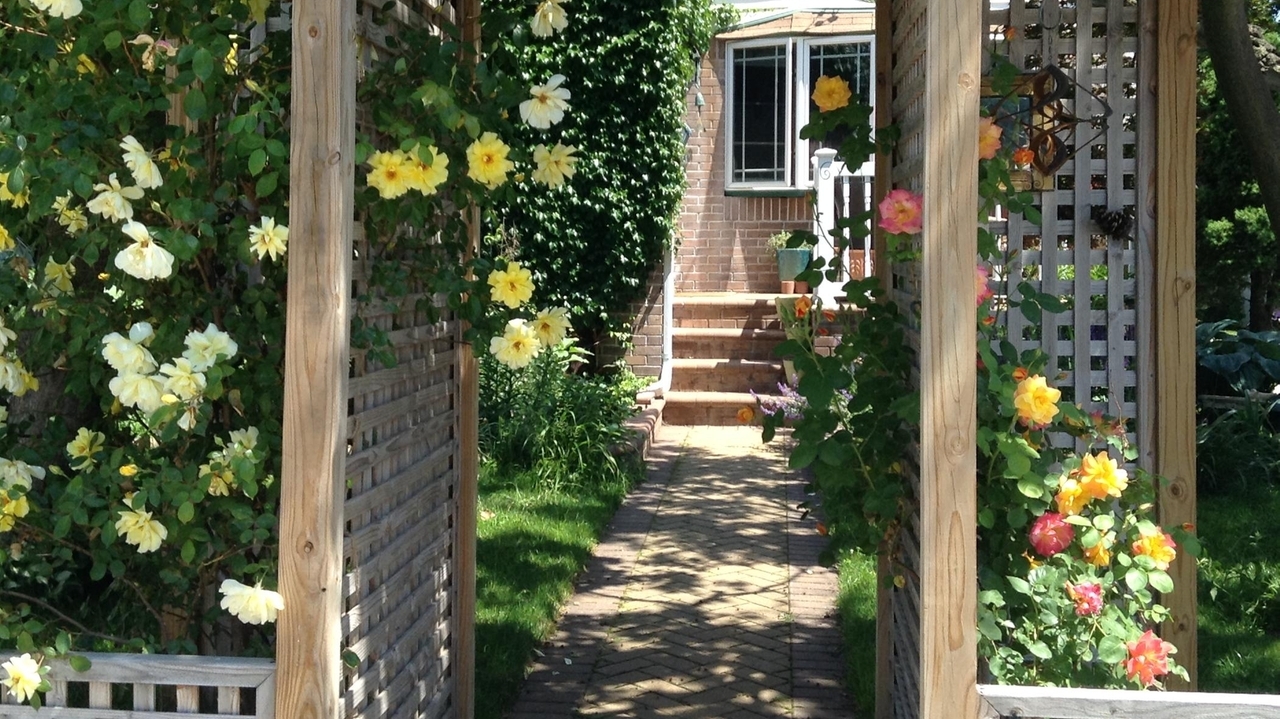Pathway to a blissful garden has its bumps - Vimarsana News