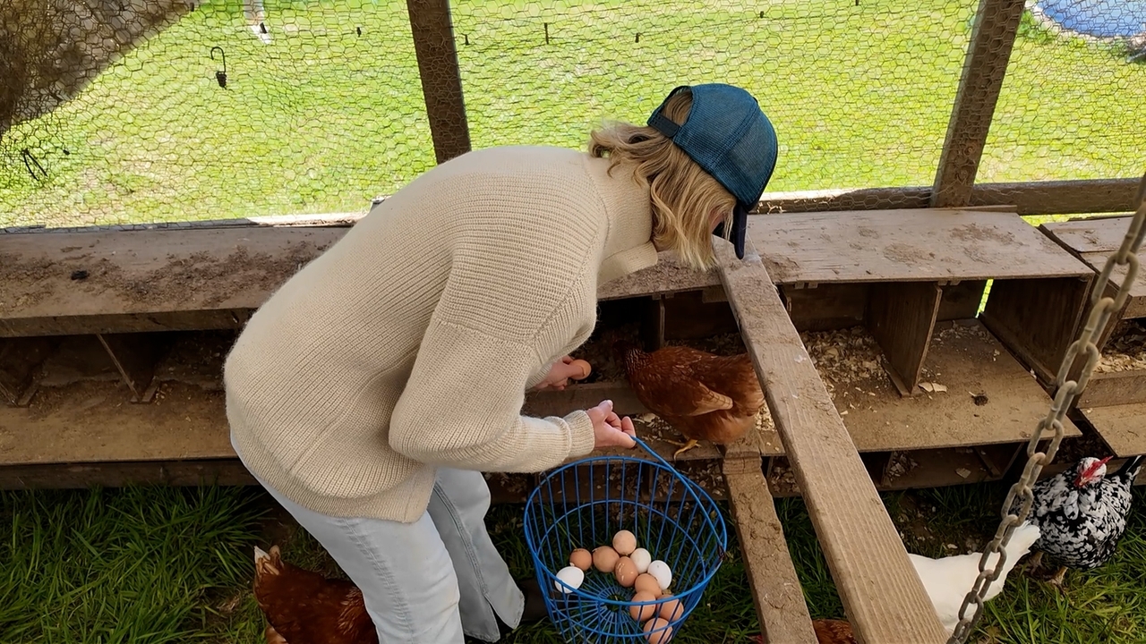 Out East: Home on the free range at Browder's Birds