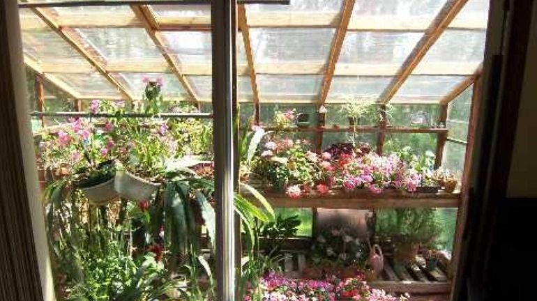 This three-sided aluminum and glass greenhouse is through sliding glass...