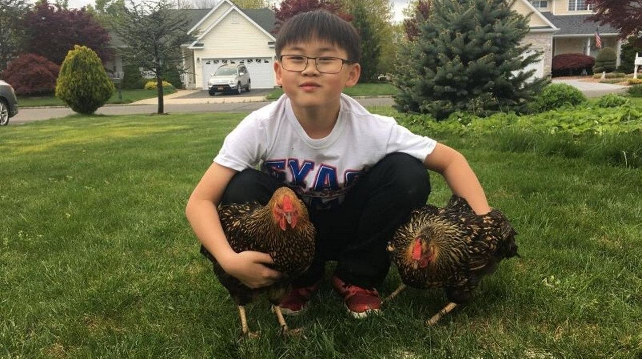 What it’s like to own pet chickens Newsday