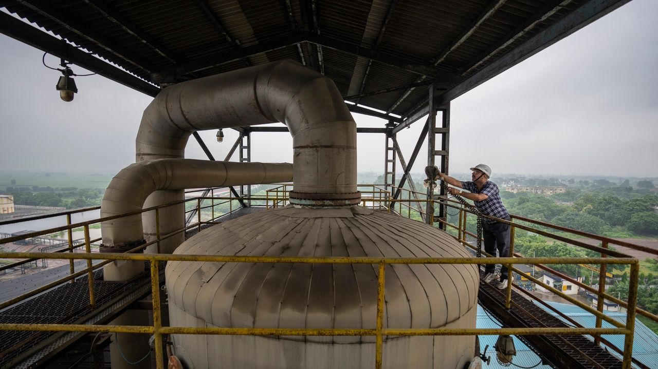 What are biofuels and why is it so confusing whether they are a source