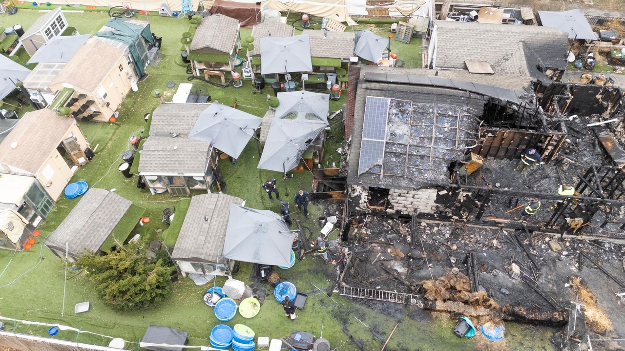 Founder killed in fire at home of Happy Cat Sanctuary in Medford ...