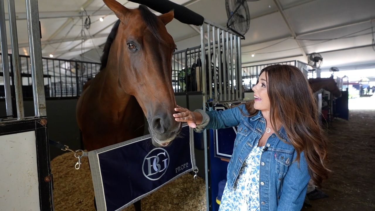 Horses, shopping and family fun - Newsday