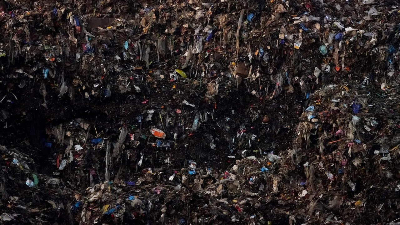 Americans are still putting way too much food into landfills. Local ...