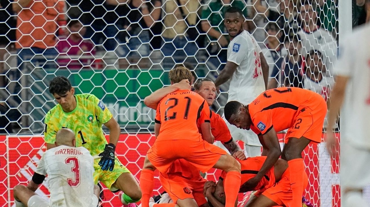 Cody Gakpo celebrates his goal against Morocco with Netherlands teammates