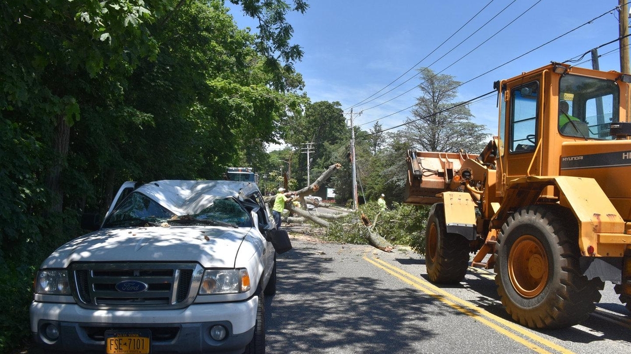 Police: Tree falls on passing pickup truck, driver injured - Newsday