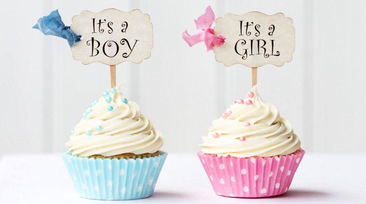 Gender Reveal Cupcakes Boy Girl Baby Shower Cupcakes - 1 dozen – Cupcake  Novelties