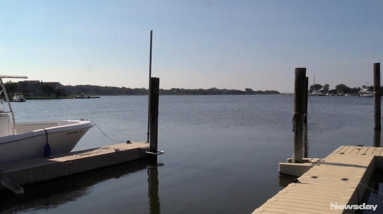 Expert: Rust tide algae widespread in Long Island waters - Newsday