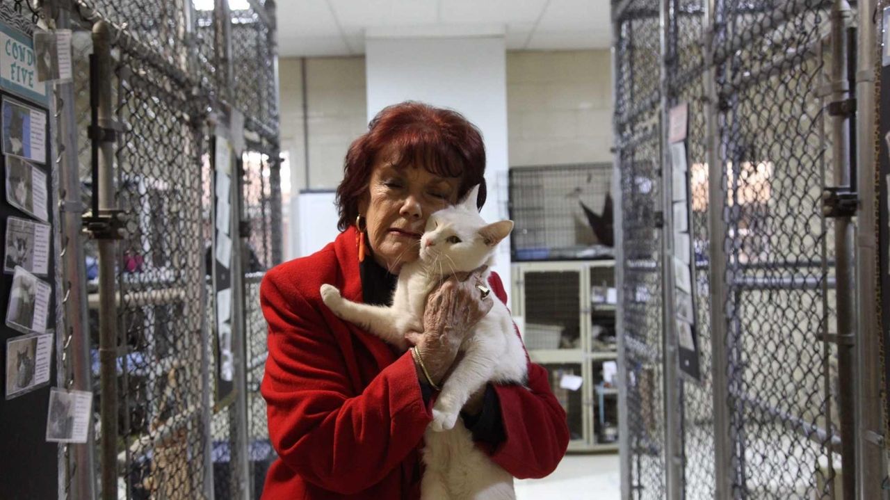 Glen Cove animal shelter prepares for new managers while current