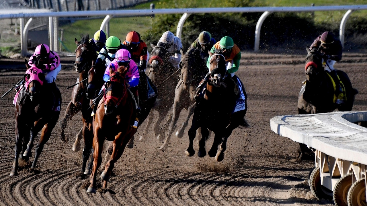 Santa Anita to install artificial training track as part of $31 million ...