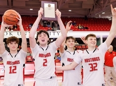 Check! Brian Vales leads Mount Sinai to back-to-back Suffolk titles