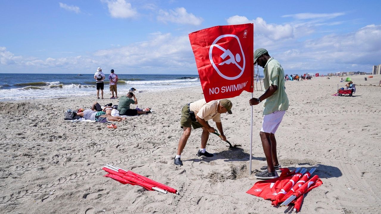 Shark sighting halts swimming at Jones Beach, one day after woman ...