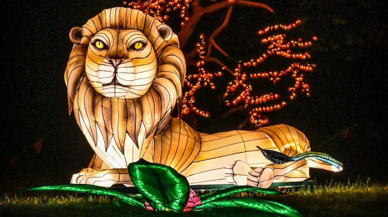 Winter light shows happening at Old Westbury Garden, Eisenhower Park