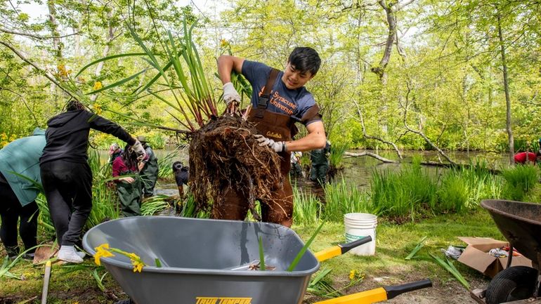 Tim Mak, 17, a Jr. Commissioner with Keep Islip Clean,...