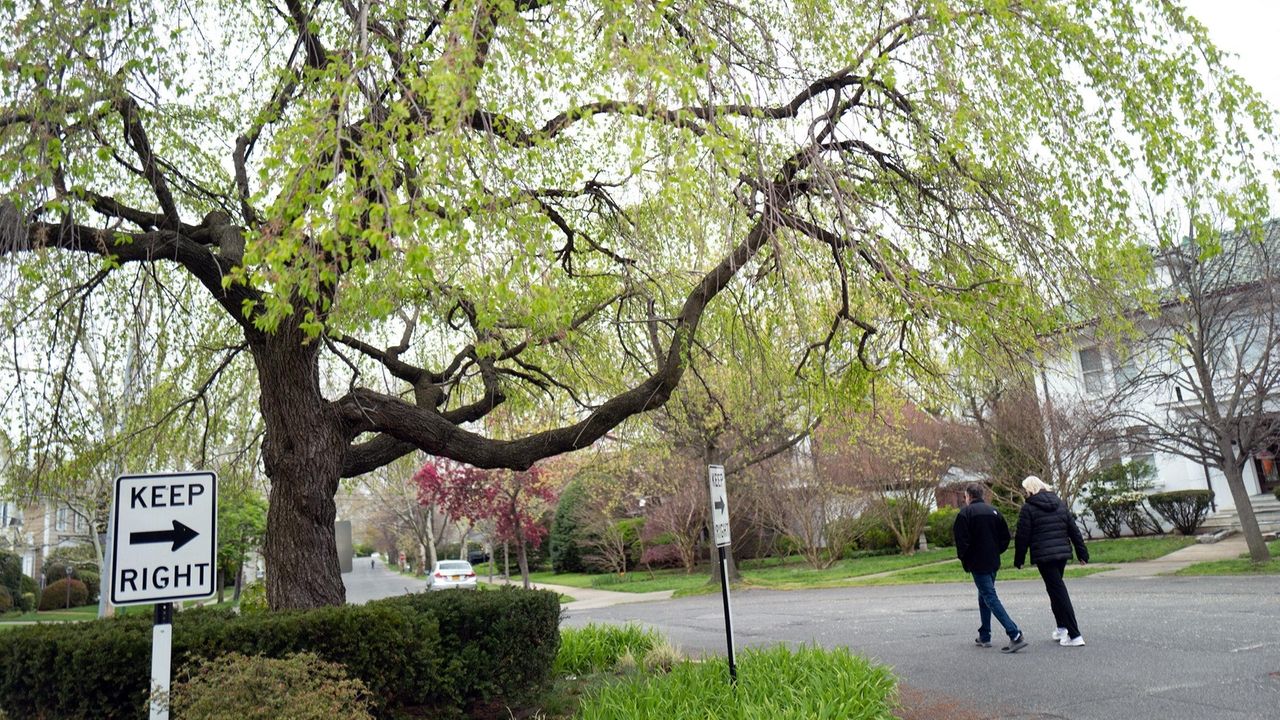 Tiny Bellerose Village, where no two houses are alike Newsday