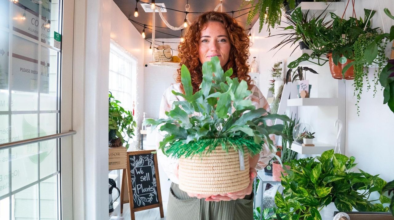 Where to buy houseplants on Long Island Newsday