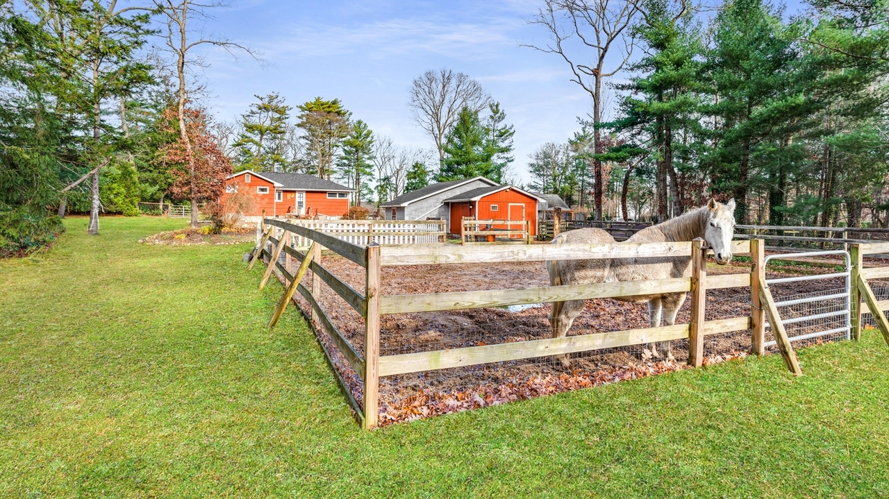 Manorville horse property with 4bedroom ranch, 565,000 Newsday