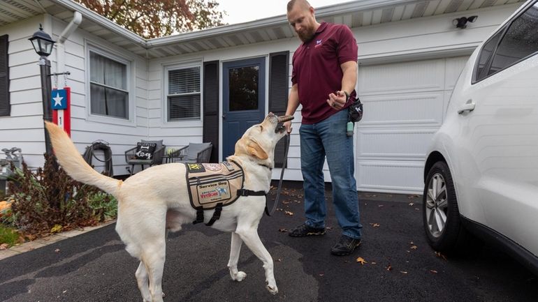 Kenzo, a 3-year-old labrador retriever, picks up a wallet for...