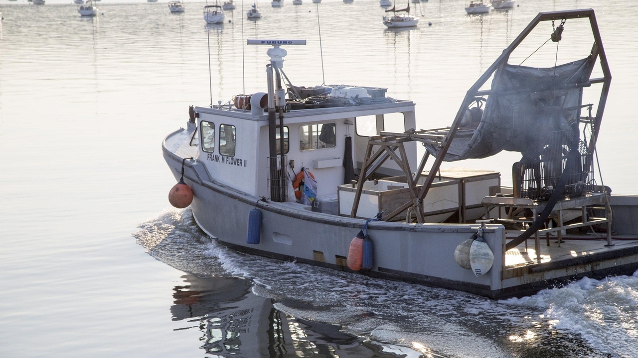 Oyster Bay sues shellfish company in bid to end underwater lease - Vimarsana News