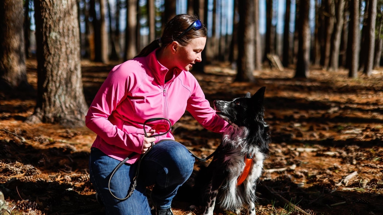 Dog Aging Project aims to learn why some canines live healthier, longer ...
