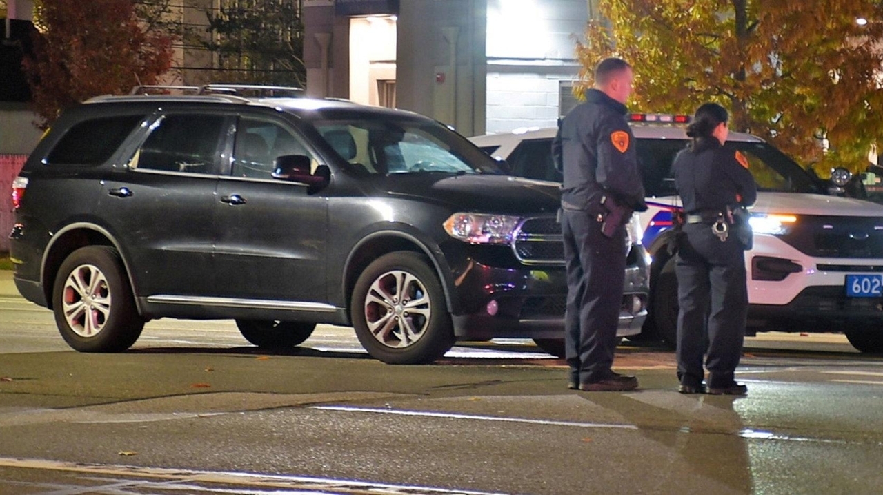 Woman standing in road struck, killed by SUV in Selden, police say ...