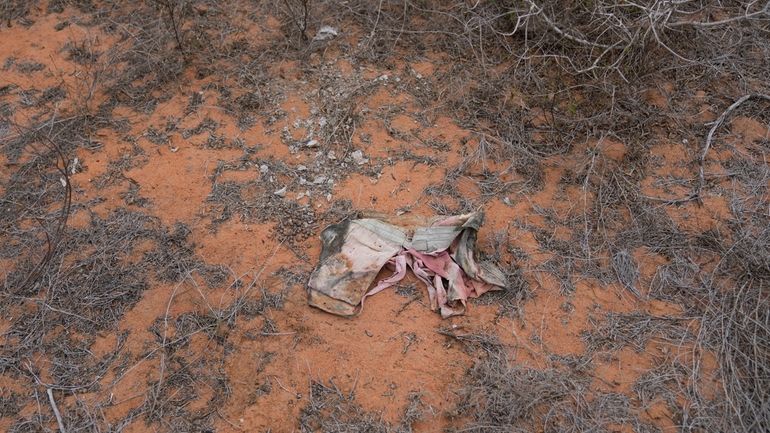 A piece of clothing lies in the bush near the...