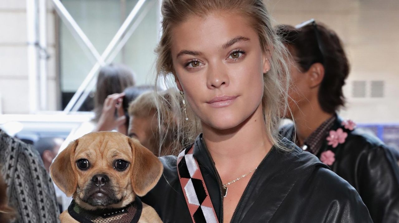 Celebrities and their pets Newsday(00)