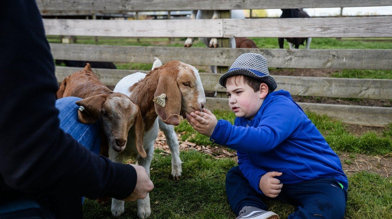 Kids with autism get quiet time for fun at Suffolk Farm Day - Newsday