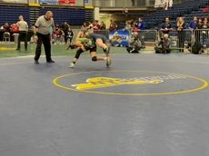 How LI did in the girls' invitational and boys' dual meet state wrestling events