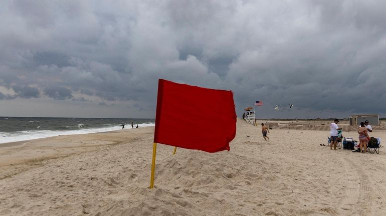 Red flags were up after a possible shark sighting at...