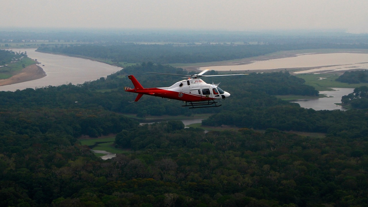 Brazil says Amazon deforestation fell to the lowest level since 1988 ...