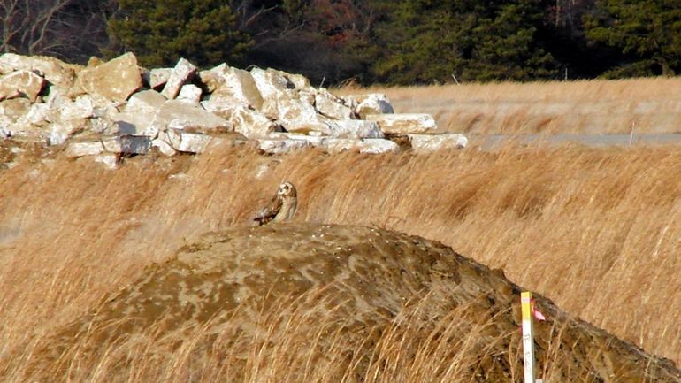 The EPCAL site in Calverton.  (Jan. 31, 2008)